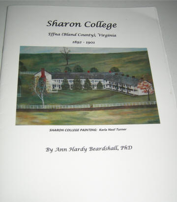 Sharon Springs book cover
